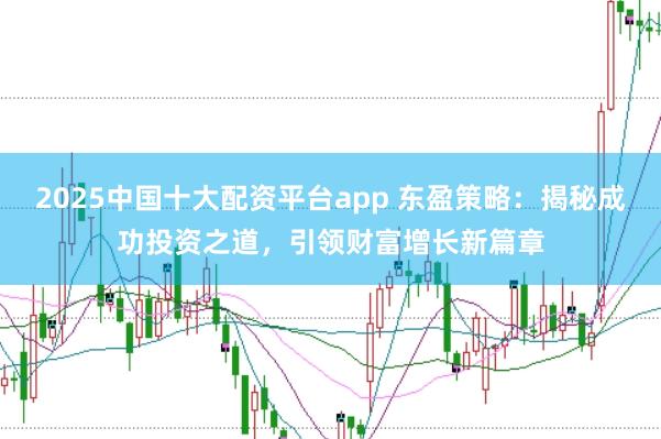 2025中国十大配资平台app 东盈策略：揭秘成功投资之道，引领财富增长新篇章