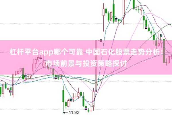 杠杆平台app哪个可靠 中国石化股票走势分析：市场前景与投资策略探讨