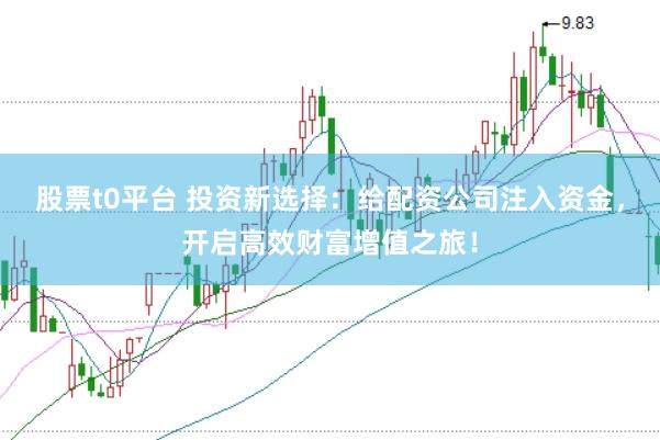 股票t0平台 投资新选择：给配资公司注入资金，开启高效财富增值之旅！