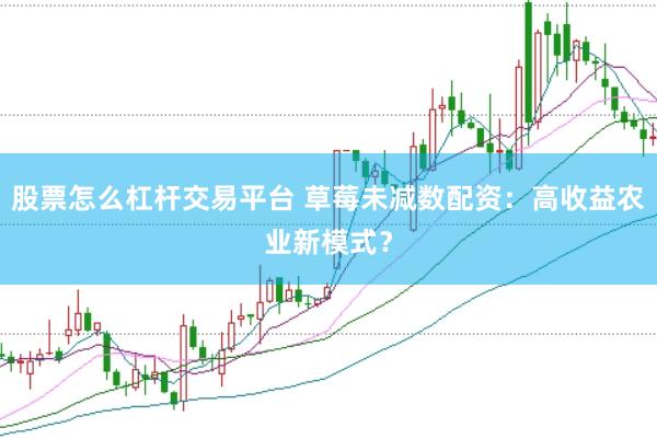 股票怎么杠杆交易平台 草莓未减数配资：高收益农业新模式？