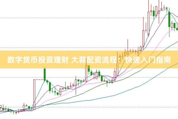 数字货币投资理财 大蒜配资流程：快速入门指南