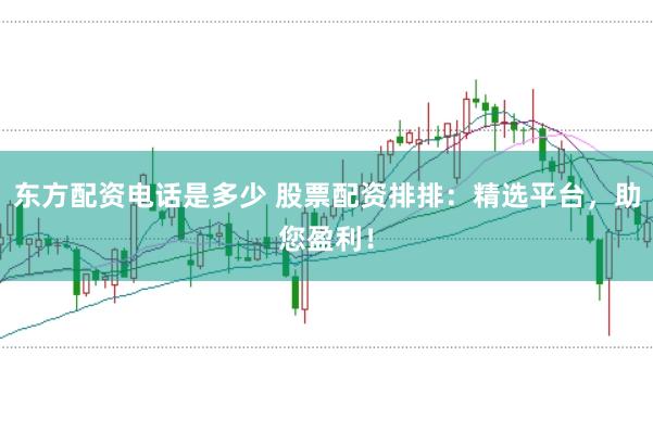 东方配资电话是多少 股票配资排排：精选平台，助您盈利！
