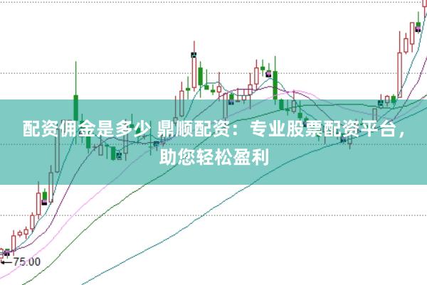 配资佣金是多少 鼎顺配资：专业股票配资平台，助您轻松盈利