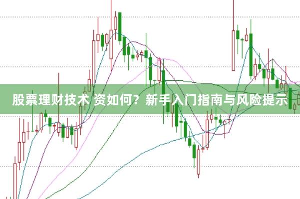 股票理财技术 资如何？新手入门指南与风险提示
