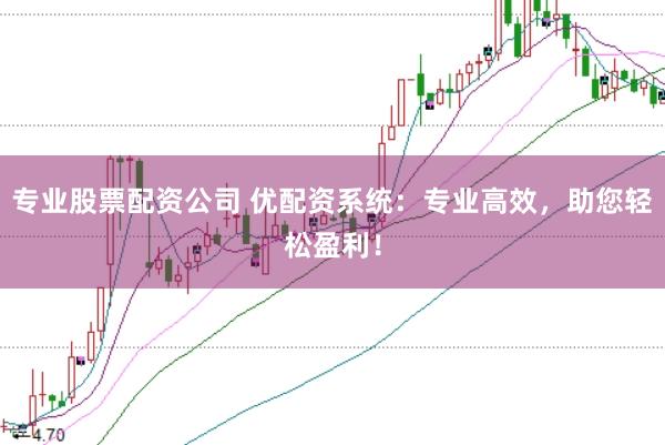 专业股票配资公司 优配资系统：专业高效，助您轻松盈利！