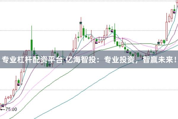 专业杠杆配资平台 亿海智投：专业投资，智赢未来！