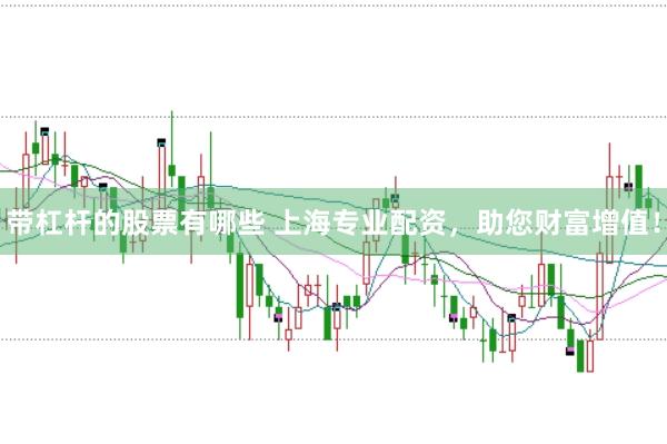 带杠杆的股票有哪些 上海专业配资，助您财富增值！