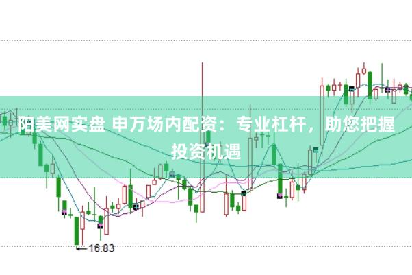 阳美网实盘 申万场内配资：专业杠杆，助您把握投资机遇