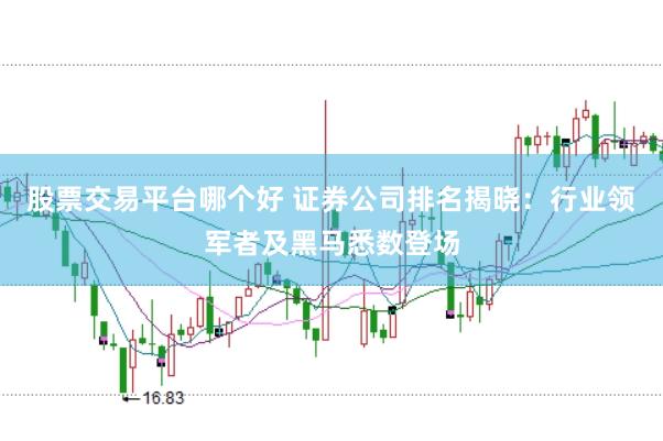 股票交易平台哪个好 证券公司排名揭晓：行业领军者及黑马悉数登场