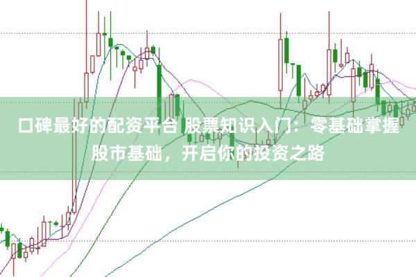 口碑最好的配资平台 股票知识入门：零基础掌握股市基础，开启你的投资之路