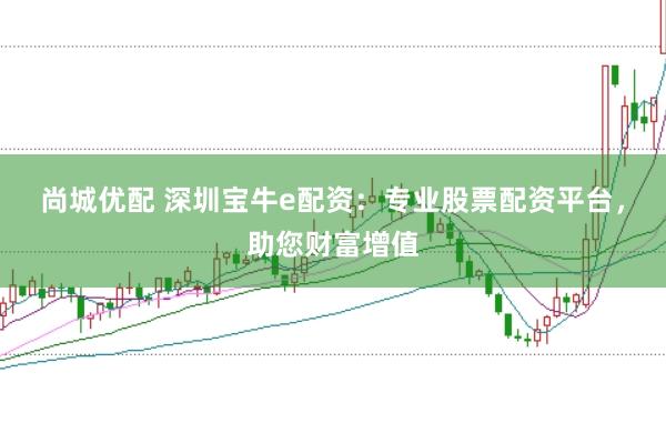 尚城优配 深圳宝牛e配资:专业股票配资平台,助您财富增值