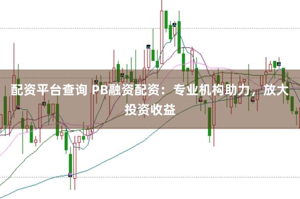 配资平台查询 PB融资配资：专业机构助力，放大投资收益