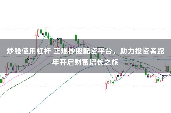 炒股使用杠杆 正规抄股配资平台,助力投资者蛇年开启财富增长之旅
