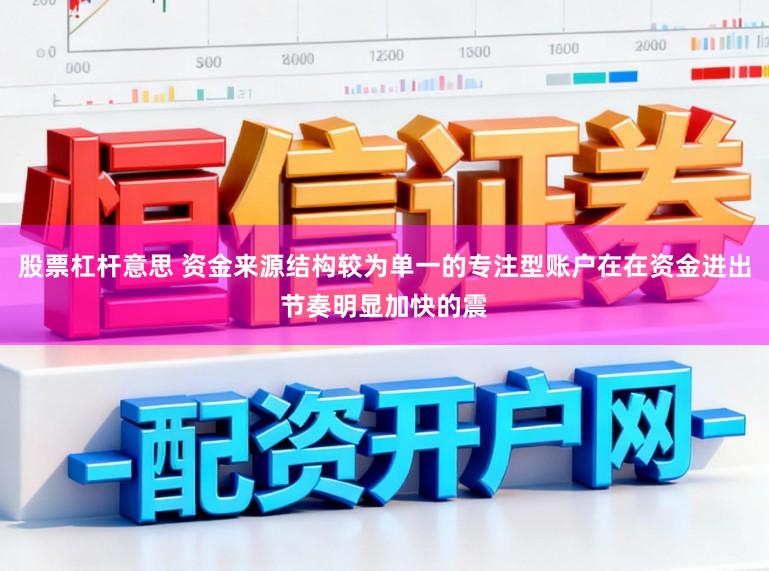 股票杠杆意思 资金来源结构较为单一的专注型账户在在资金进出节奏明显加快的震