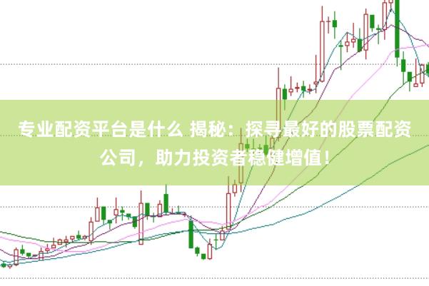 专业配资平台是什么 揭秘：探寻最好的股票配资公司，助力投资者稳健增值！